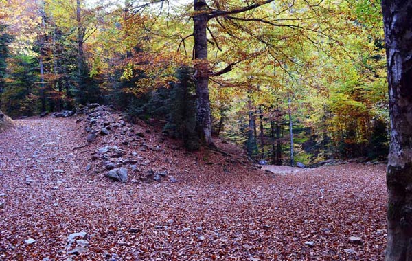 8 rutas de otoño para no aparcar la moto