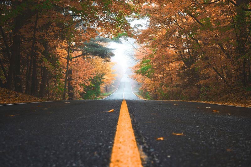 carretera_otoño
